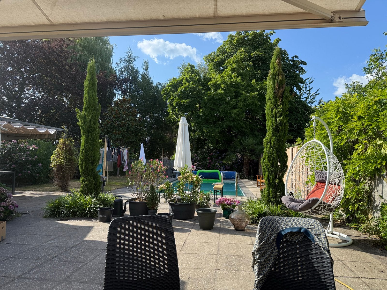 Twee Italiaanse cipressen - Mediterrane sfeer in de tuin, Volle zon, Vaste plant, Bloeit niet, Ophalen