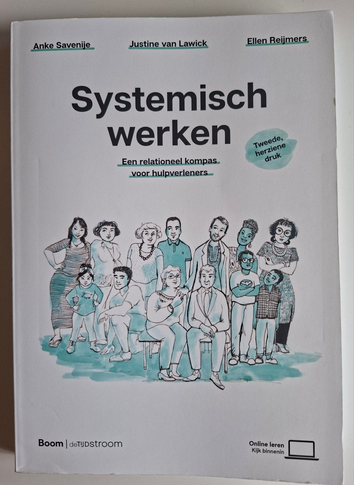 Systemisch Werken, Boeken, Studieboeken en Cursussen, Zo goed als nieuw, HBO, Alpha, Ophalen of Verzenden