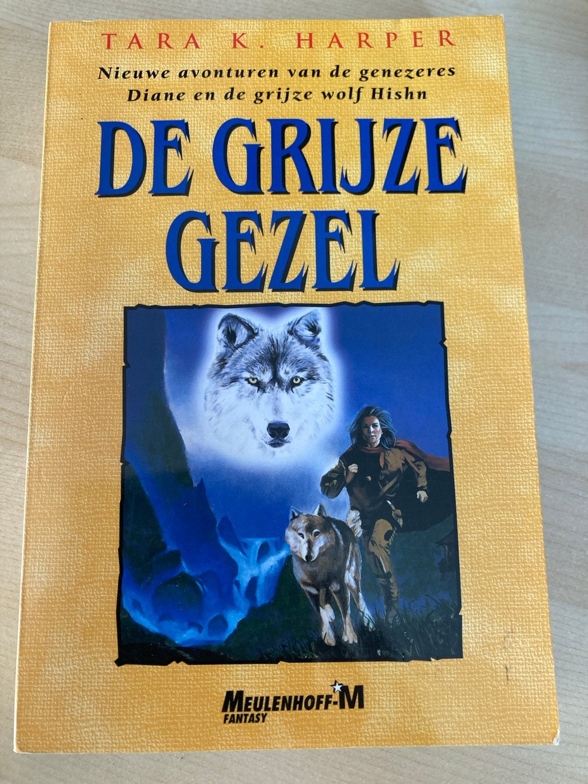De Grijze Gezel - Tara K. Harper (Fantasy Boek), Ophalen of Verzenden, Zo goed als nieuw