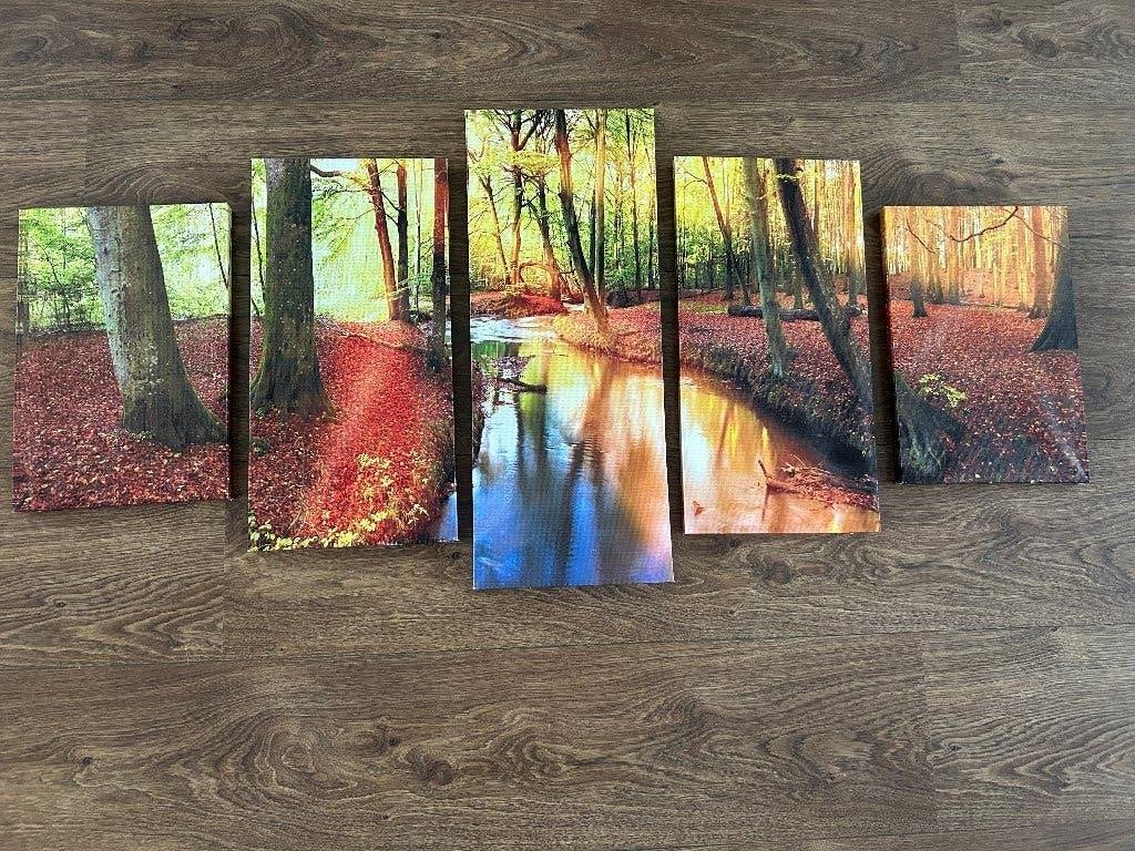 Schilderijen van bos en natuur op canvas, Ophalen of Verzenden, Overige stijlen, Landschap