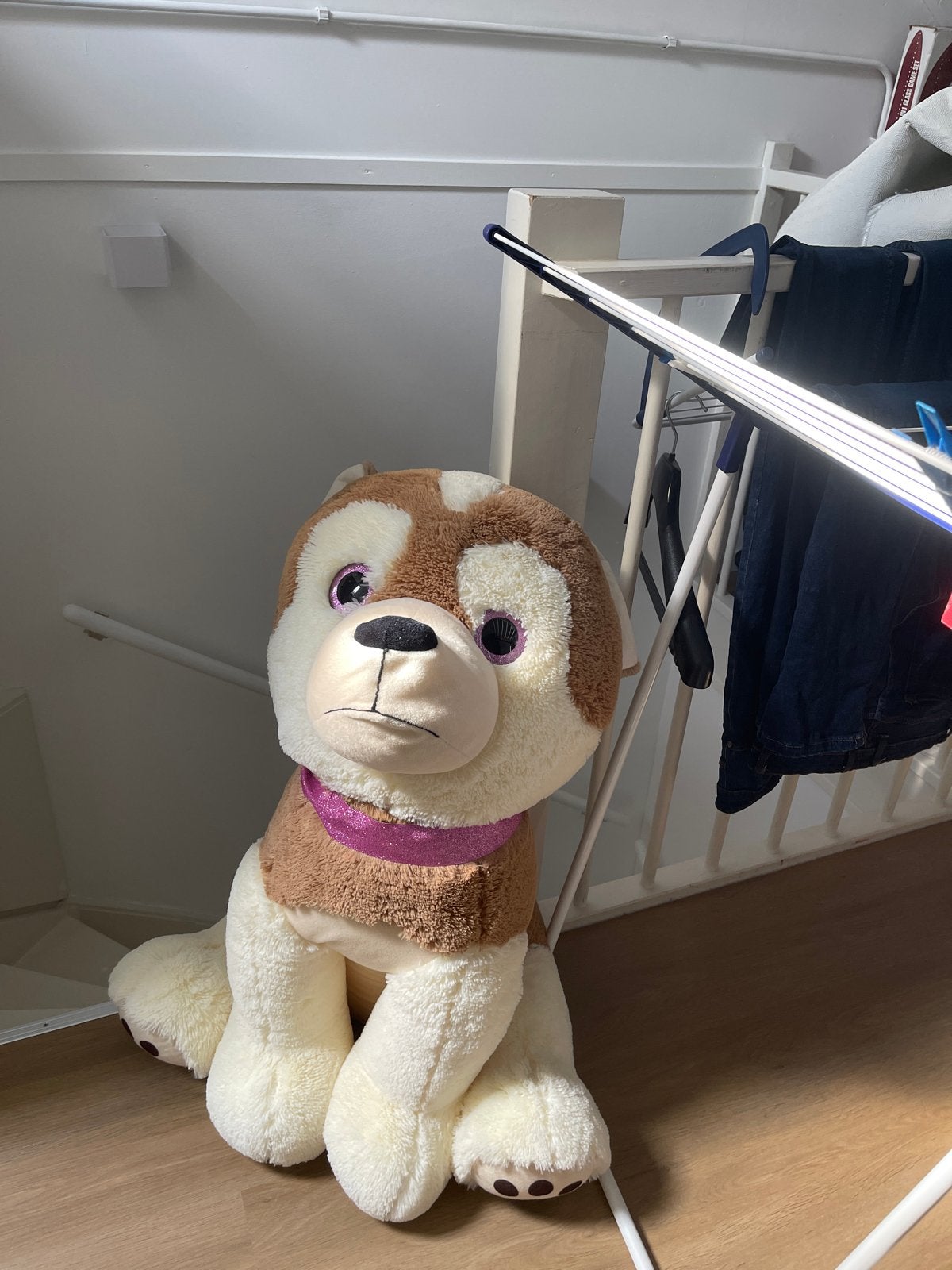 Grote knuffelhond - Bruin/Wit met paarse halsband. Nieuwe, Zo goed als nieuw, Middelgroot (20 tot 80 cm), Bruin, Hond