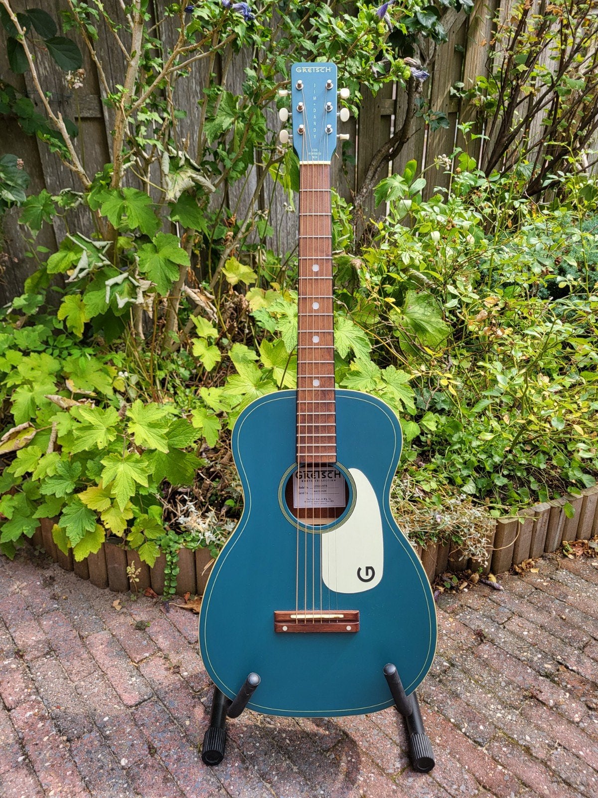Gretsch Jim Dandy Blue gitaar met hoes en standaard, Ophalen, Zo goed als nieuw, Overige merken