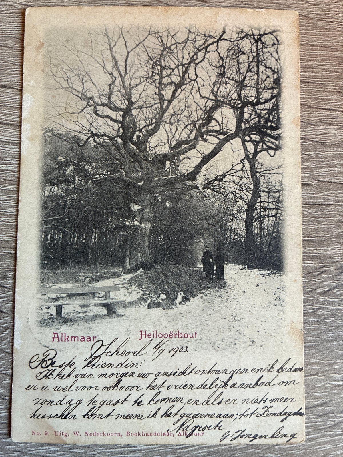 Oude ansichtkaart Heilooërhout, Alkmaar 1903, Ophalen of Verzenden, Voor 1920, Gelopen, Noord-Holland