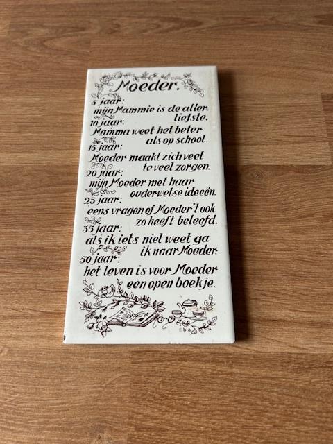 C16-tegeltje Moeder 10x20cm, Ophalen of Verzenden, Gebruikt