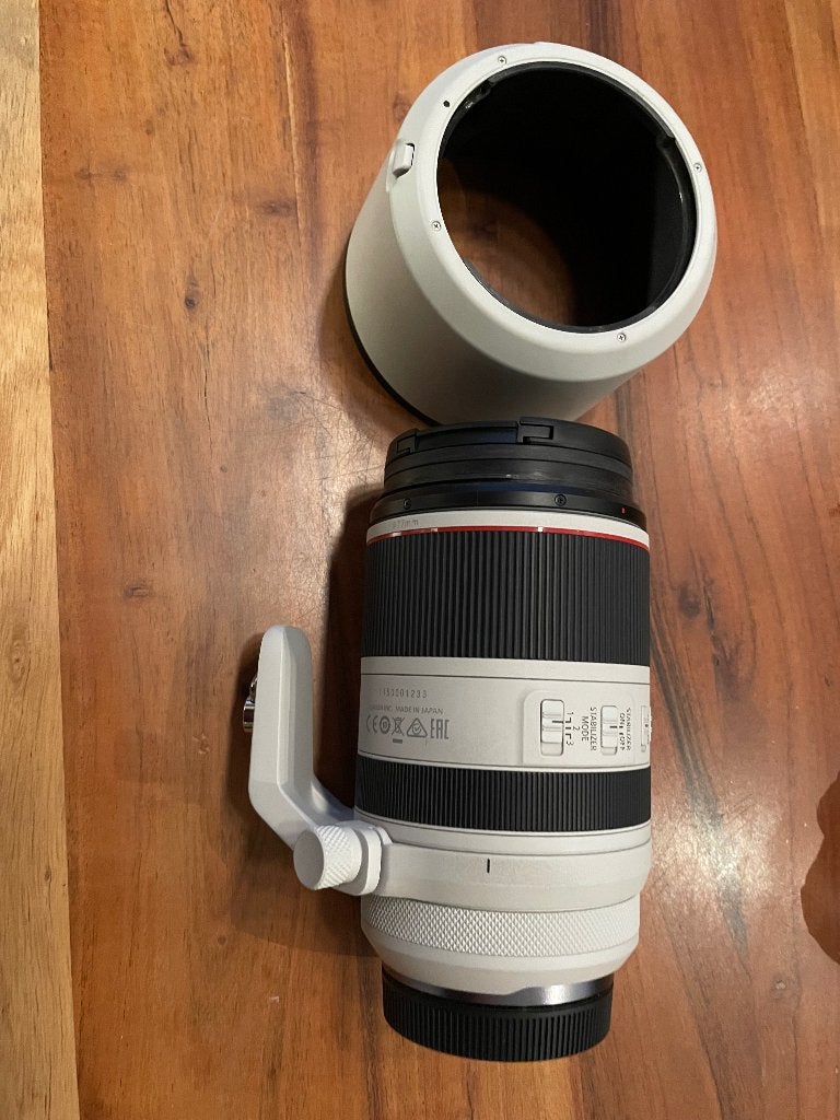 Canon RF 70-200 f2.8 IS, Ophalen, Telelens, Zoom