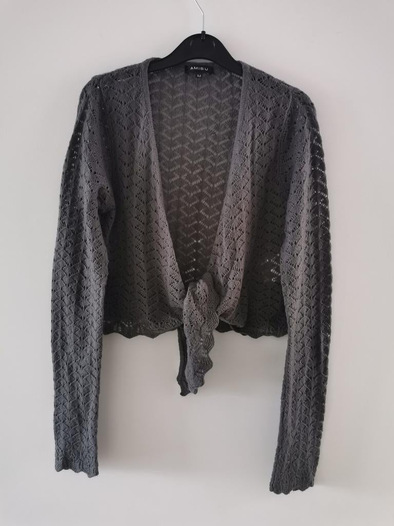 Amisu vest mt. M, Maat 38/40 (M), Verzenden, Nieuw, Grijs