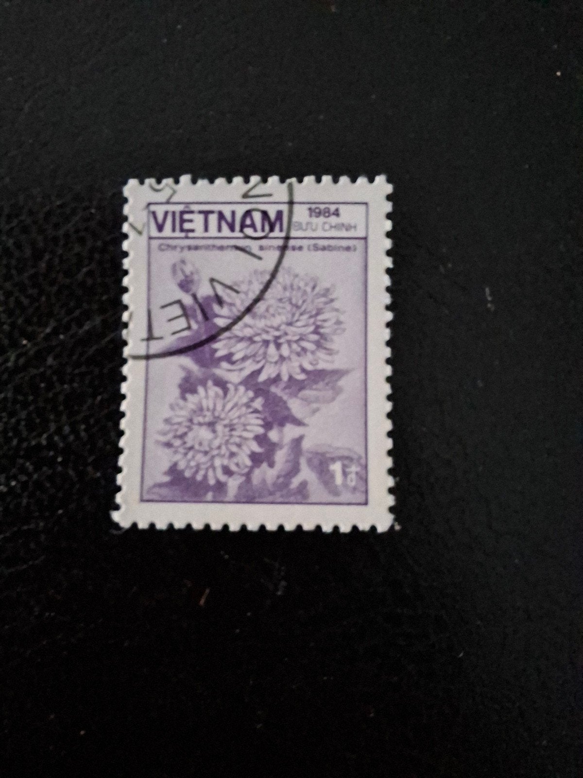 Bloemen.  Vietnam, Ophalen of Verzenden, Dier of Natuur