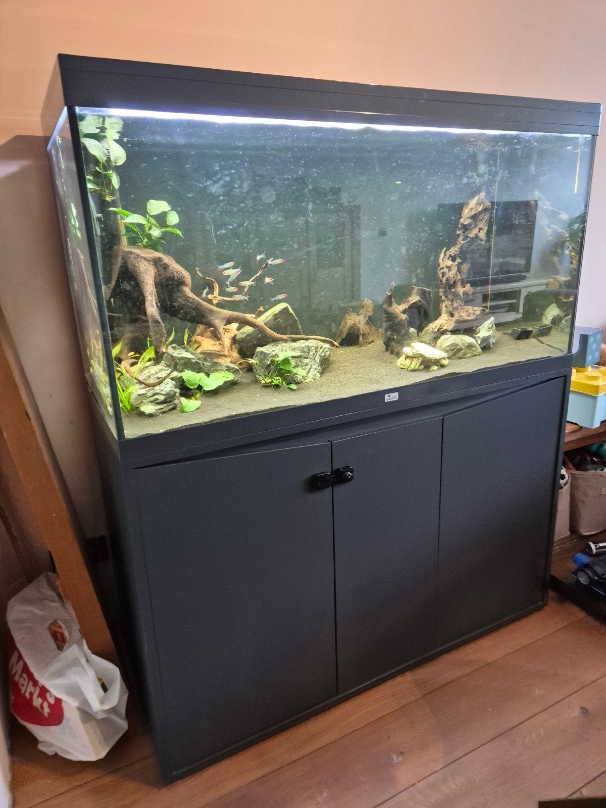 Aquarium, Ophalen, Zo goed als nieuw, Leeg aquarium