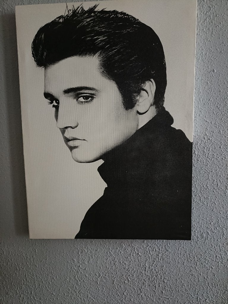 Elvis Presley schilderij, Ophalen of Verzenden, Zo goed als nieuw, Poster, Artwork of Schilderij