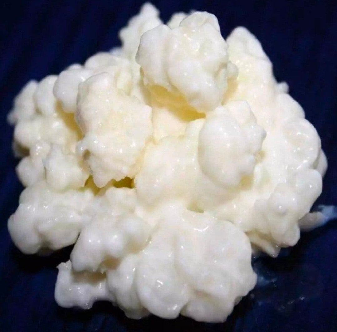 Biologische Melk kefir, Ophalen
