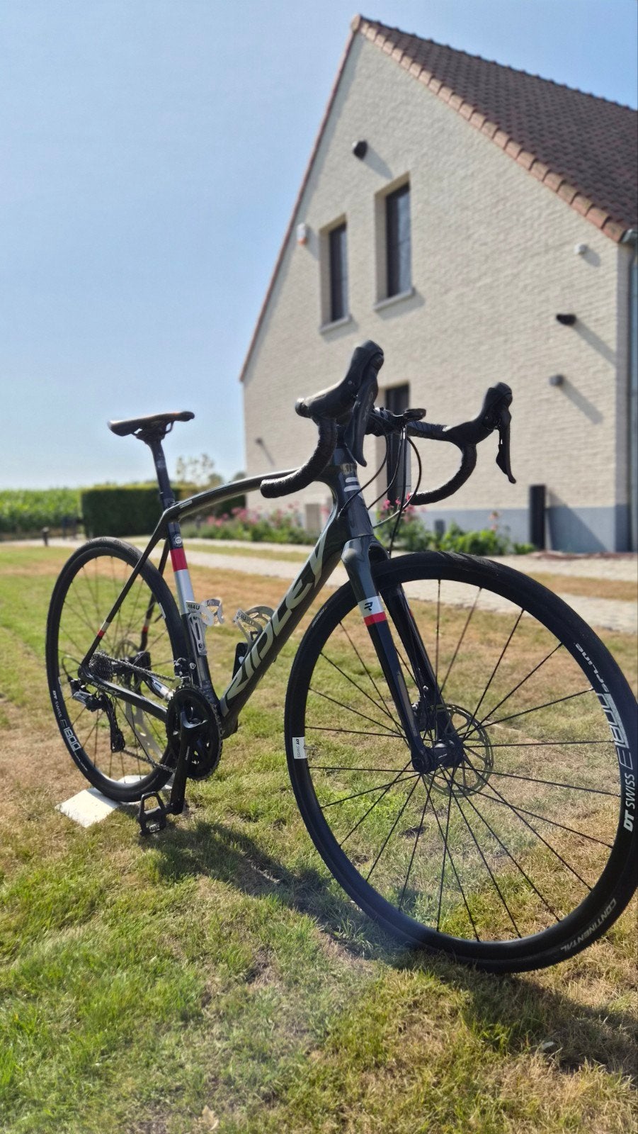 Ridley racefiets - maat 54, Fietsen en Brommers, Fietsen | Racefietsen, Overige merken, Gebruikt, Carbon, Ophalen of Verzenden