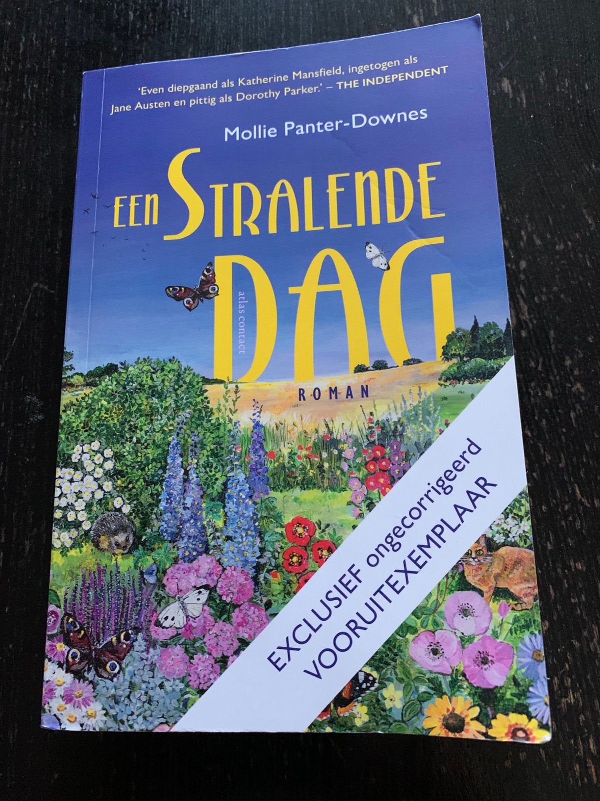 Mollie Panter-Downes - Een stralende dag, Boeken, Ophalen of Verzenden, Zo goed als nieuw