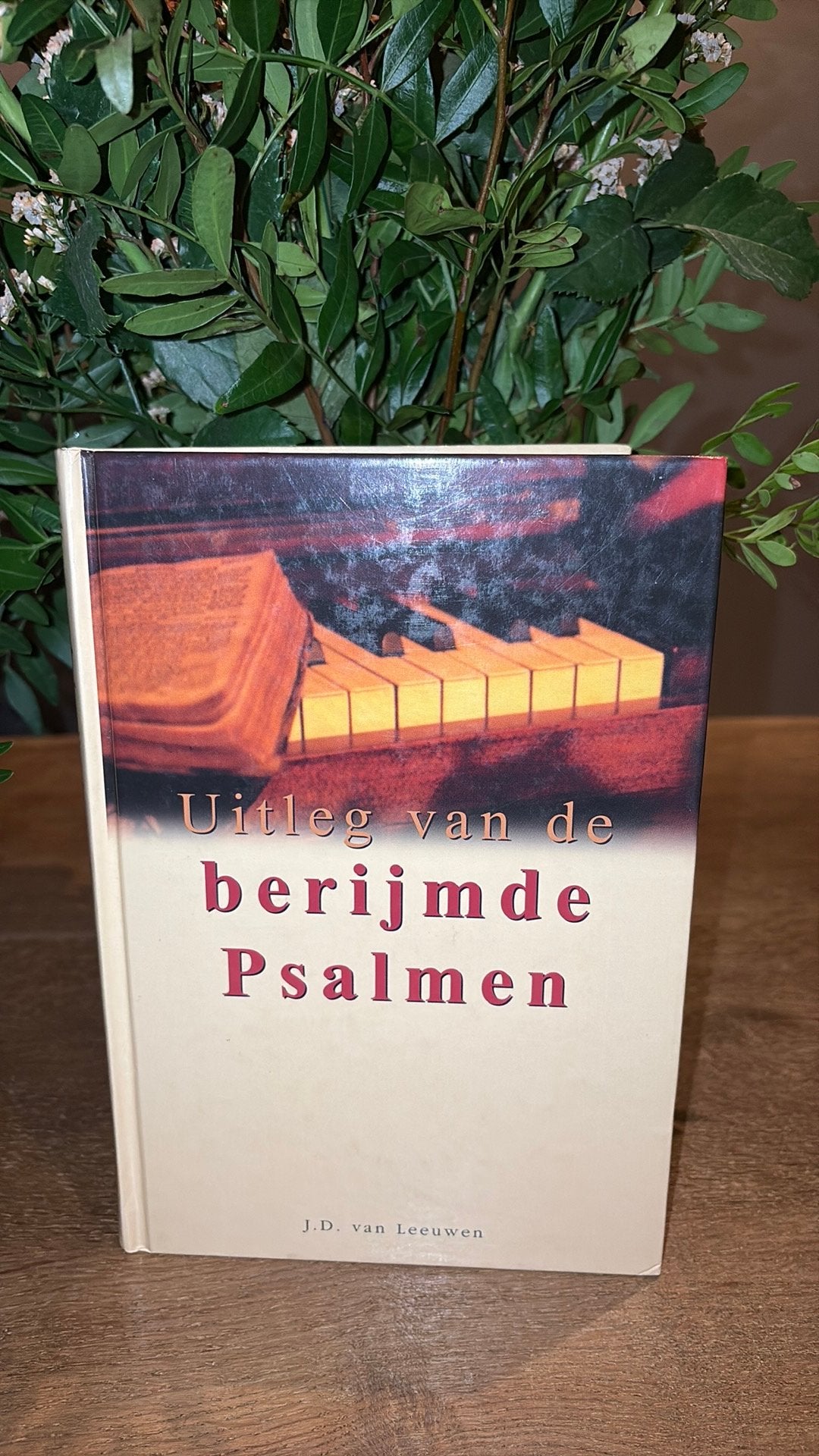 J.D. van Leeuwen - Uitleg van de berijmde Psalmen, Ophalen of Verzenden, Gelezen, J.D. van Leeuwen