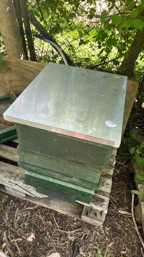 Bijenkast Simplex, Dieren en Toebehoren, Insecten en Spinnen, Bijen