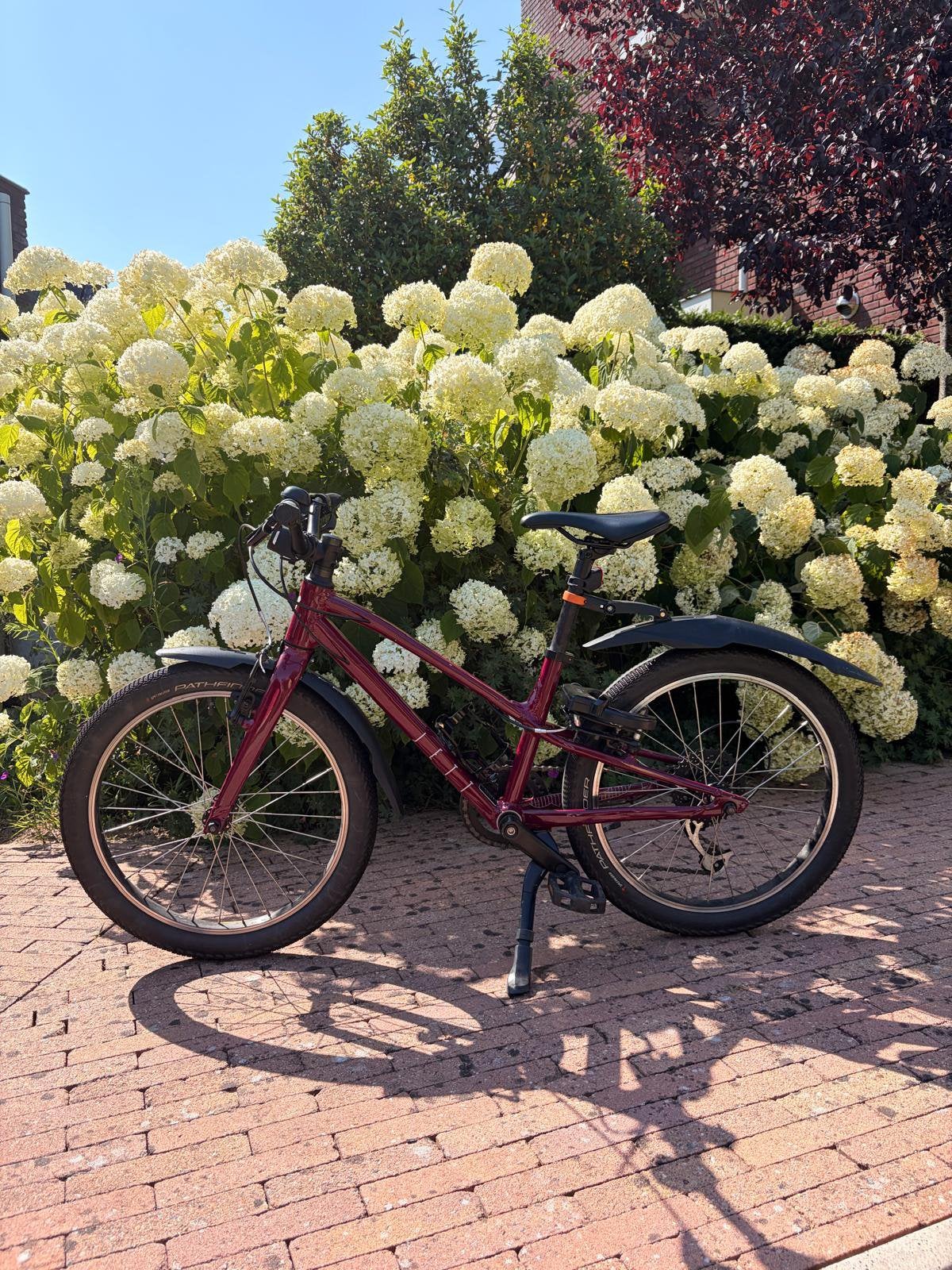 Specialized Jett 20’’ Kinderfiets – 7 versn. – Nette staat, 49 tot 53 cm, Ophalen, Zo goed als nieuw, Overige merken