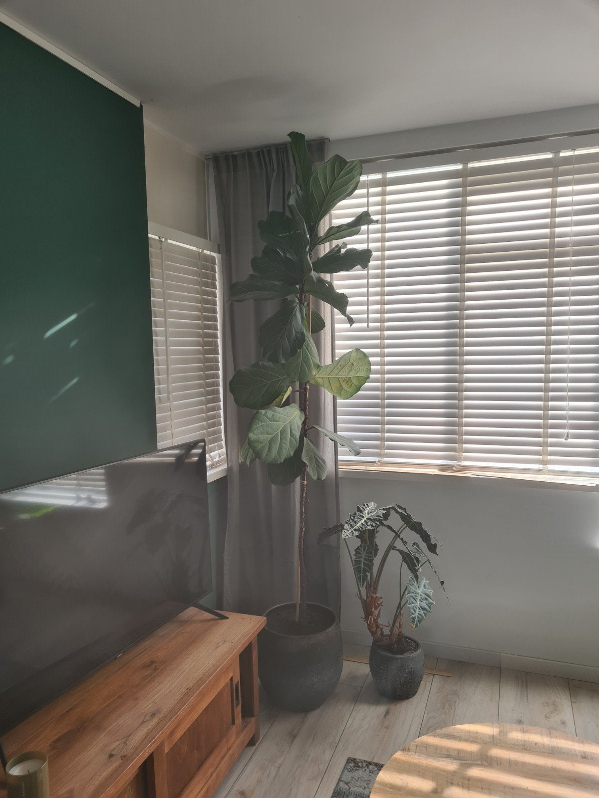Witte houten jaloezieën - diverse maten, Ophalen, Jaloezie, Gebruikt, Overige merken