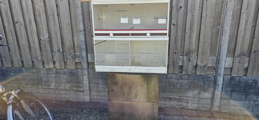 2 broedkooien 25€, Ophalen, Gebruikt, Overige materialen