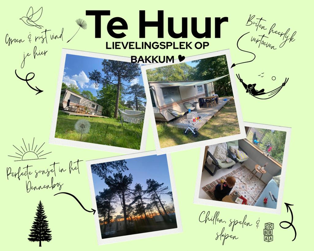 Camping Bakkum Dennenbos Te Huur Zomervakantie