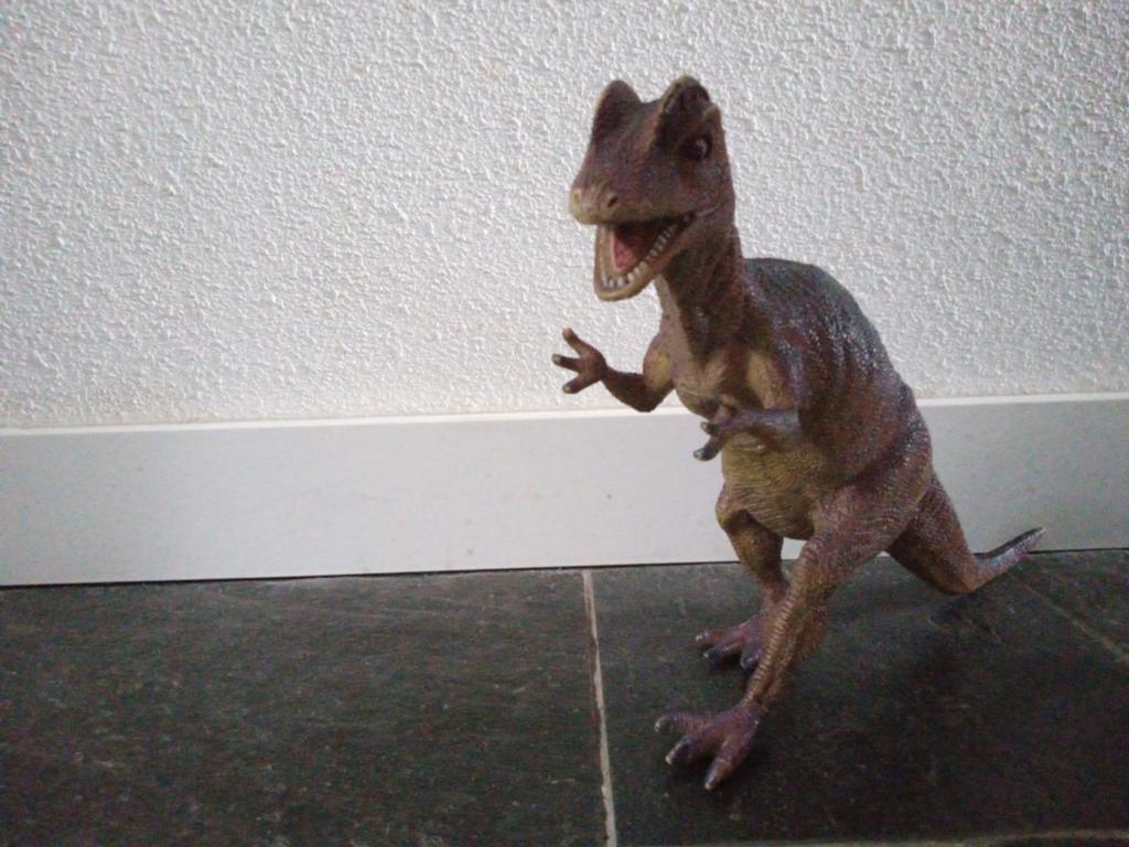 Grote dino, Ophalen, Gebruikt