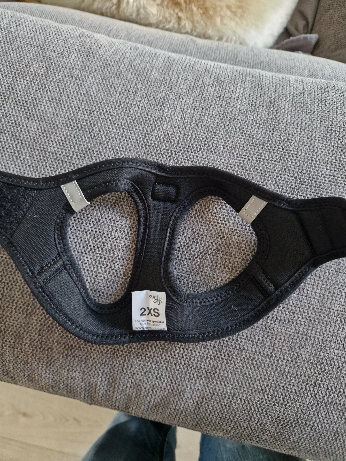 honden tuigje, Dieren en Toebehoren, Honden-accessoires, Ophalen of Verzenden, Nieuw