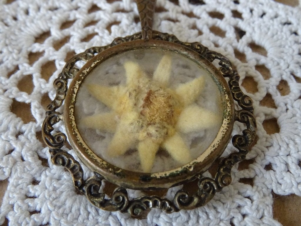 Curiosa vintage edelweis medaillon edelweis hanger zilver ?, Antiek en Kunst, Ophalen of Verzenden