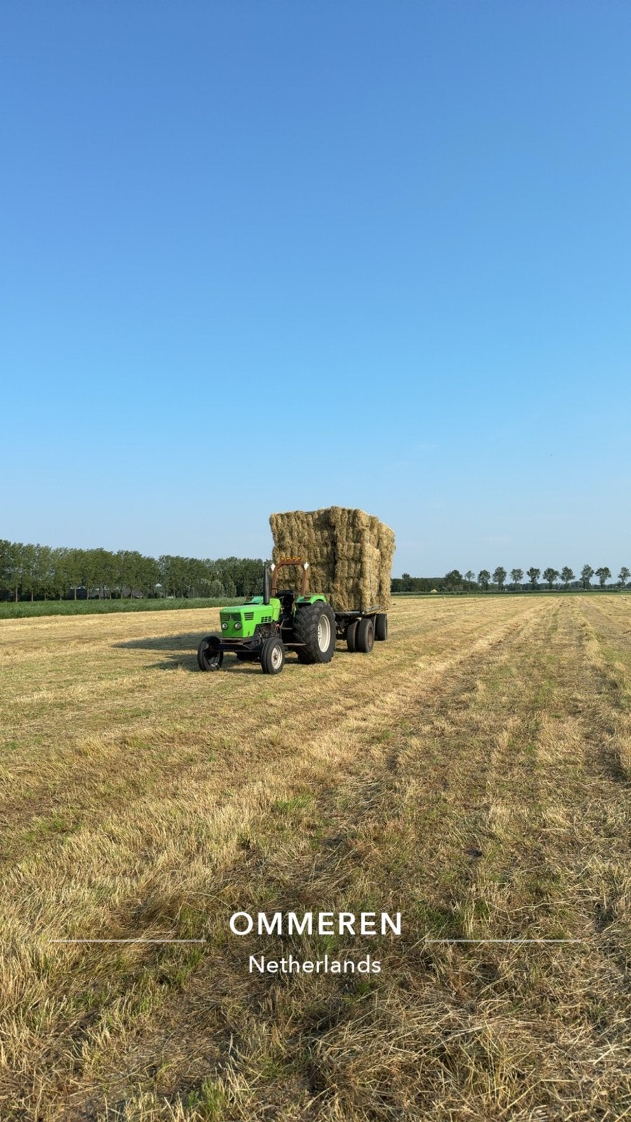 1ste snee hooi: kleine balen en Heston balen, onkruidvrij, Ophalen of Verzenden