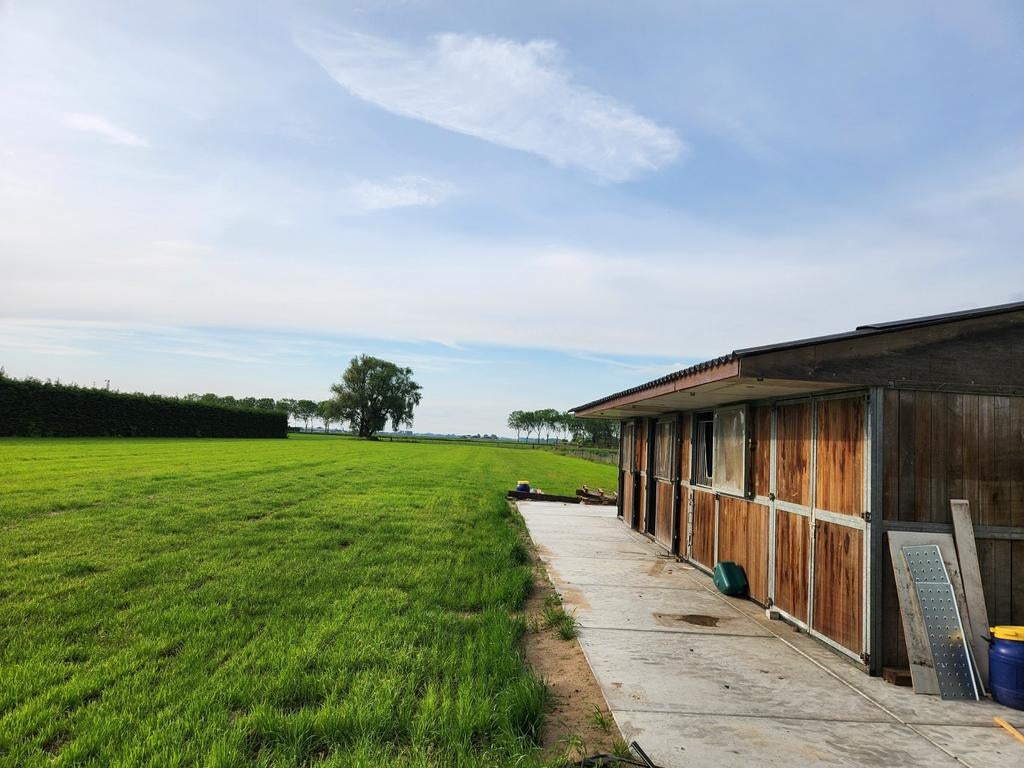 Stalling met weidegang aangeboden