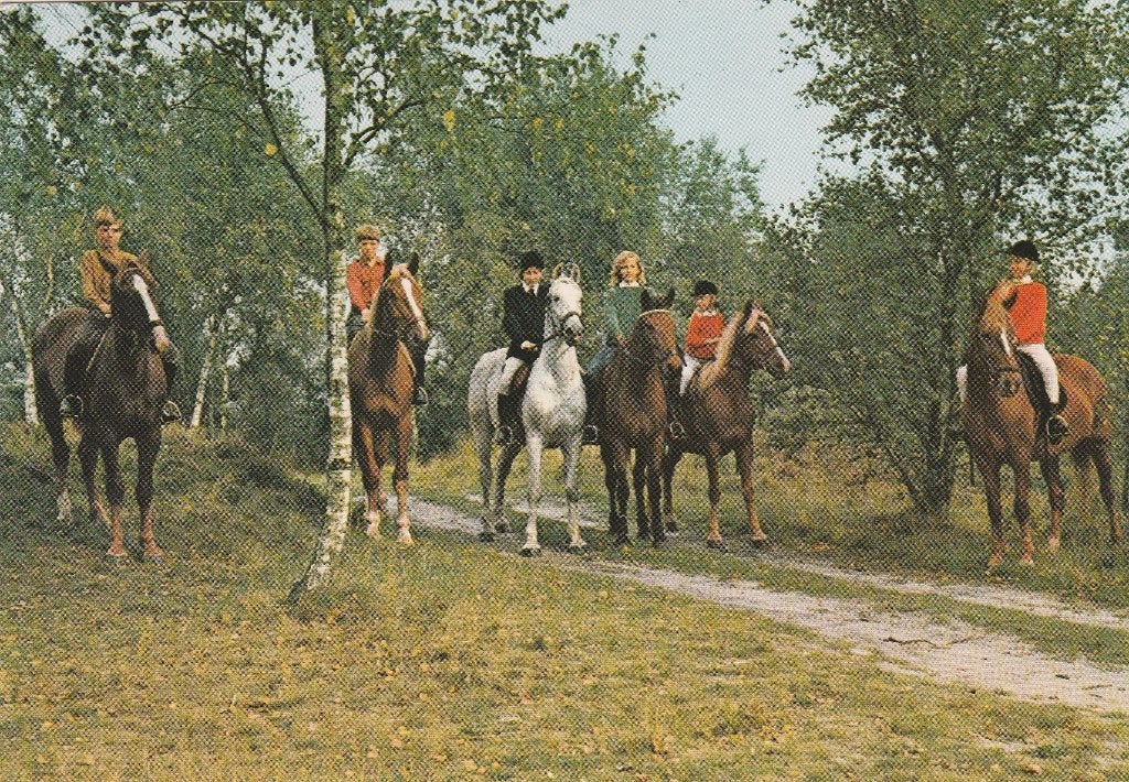 SCHIERMONNIKOOG Paarden Ruiters, Verzenden, 1960 tot 1980, Gelopen, Waddeneilanden