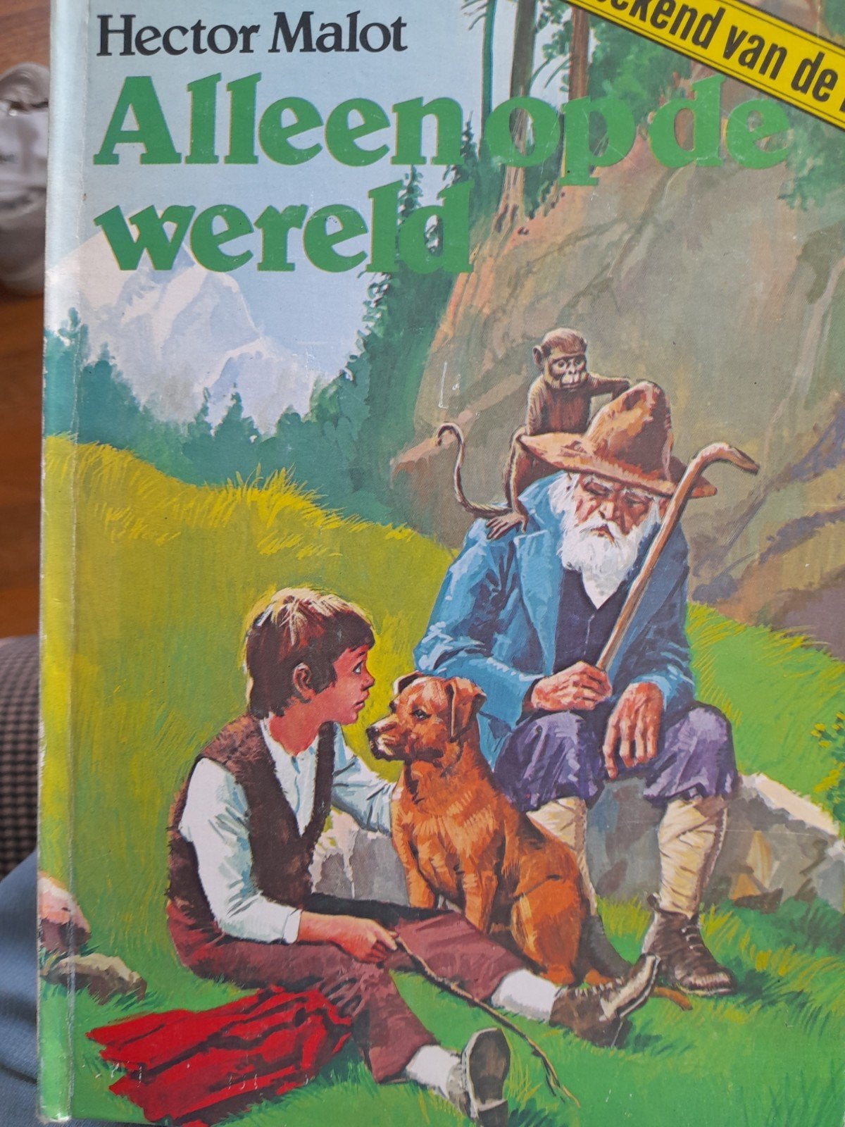 Alleen op de wereld - Hector Malot, Boeken, Ophalen of Verzenden, Gelezen