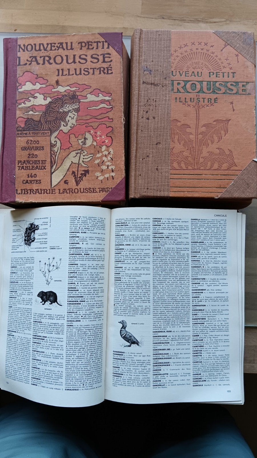 3 x Petit Larousse Illustré, Boeken, Ophalen of Verzenden, Gelezen, Claude Augé