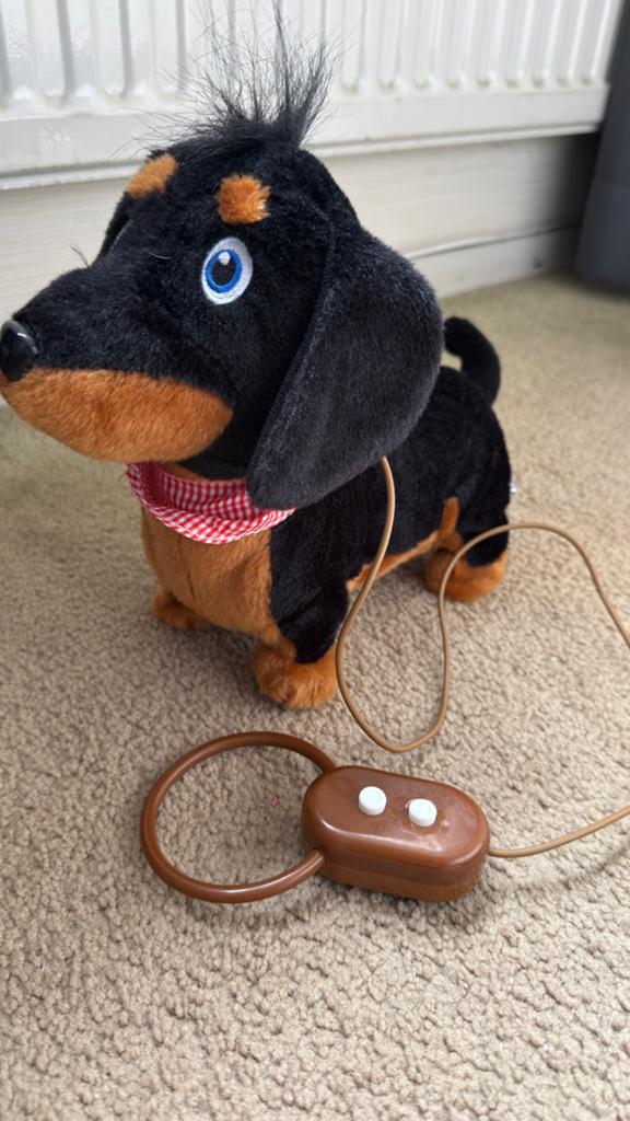 Interactieve Teckel Knuffel Hond met Afstandsbediening, Ophalen of Verzenden, Gebruikt, Jongen of Meisje
