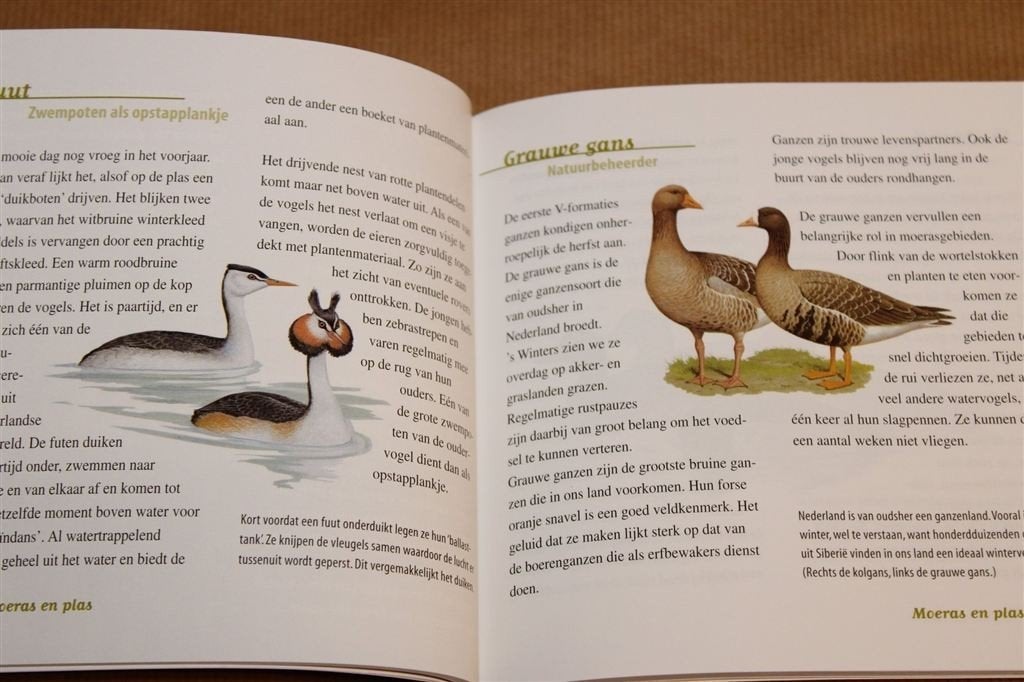 Wat Vliegt Daar? — Vogels In Onze Natuur [Vogelbescherming], Ophalen of Verzenden, Gelezen, Vogels