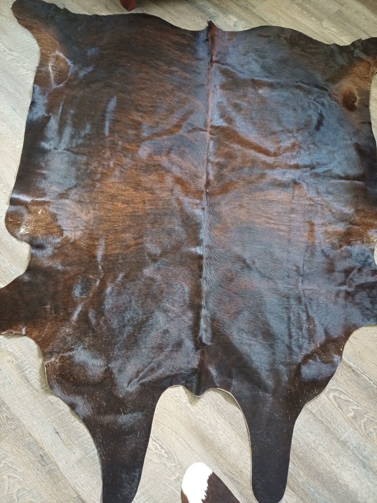 Prachtige runderhuid koeienvel, Ophalen, Natuurlijk, Rustiek, Modern, 150 tot 200 cm, Zo goed als nieuw