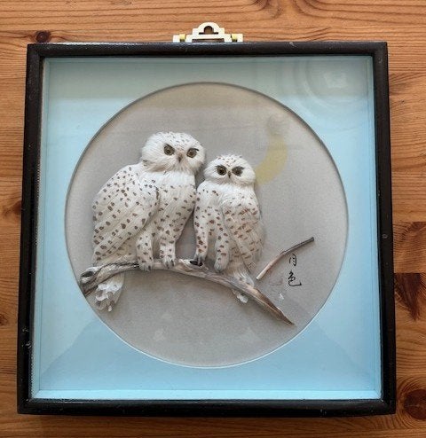 Uilen in Lijst, Ingelijst, Wit, Wanddecoratie, 20 cm