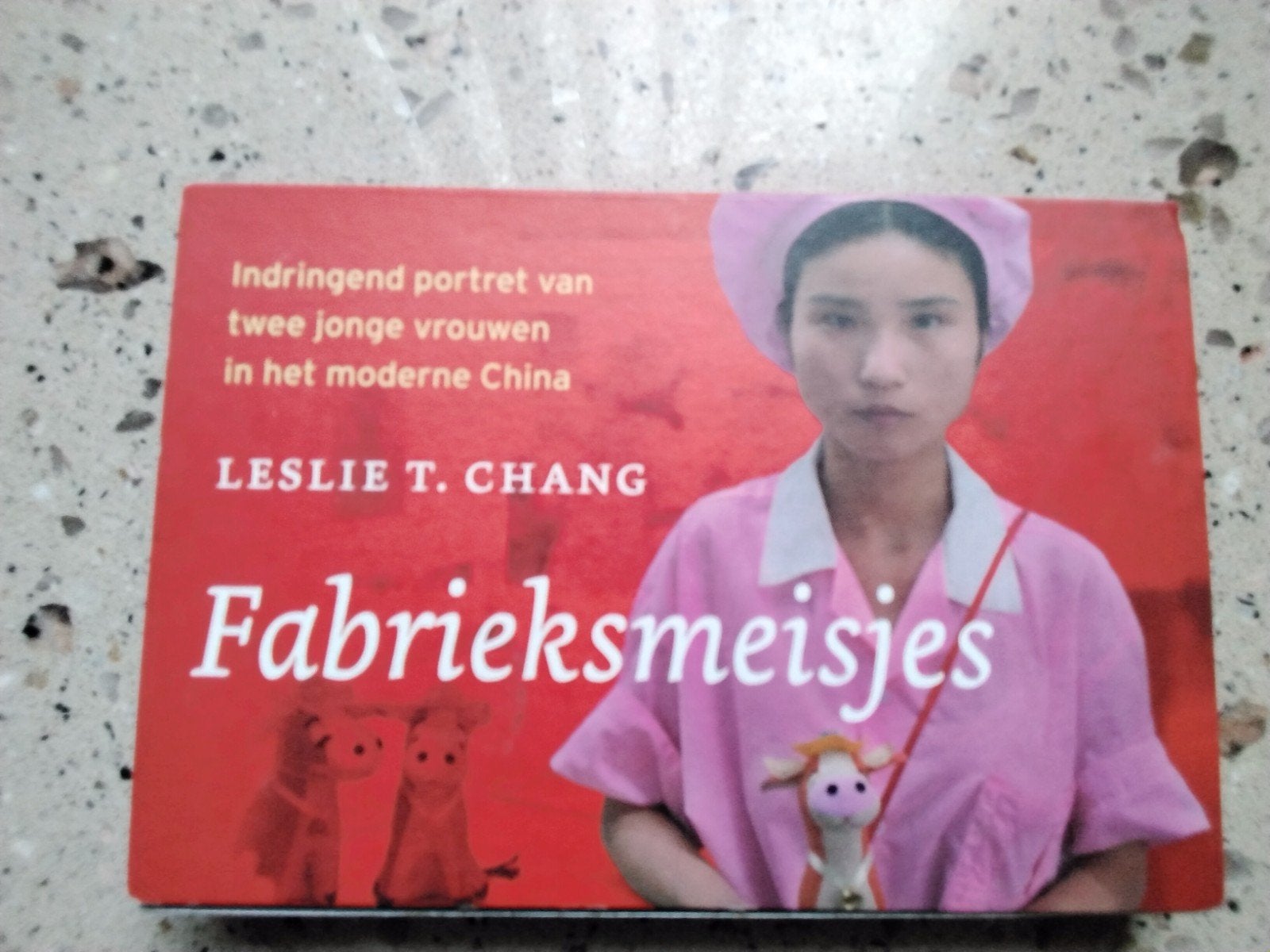 Fabrieksmeisjes - Leslie T. Chang (Dwarsligger 32), Ophalen of Verzenden, Gelezen, Leslie T. Chang, Wereld overig