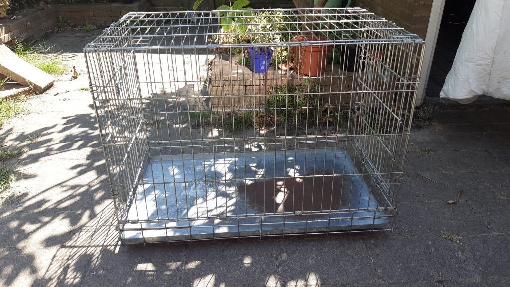 Hondenbench middelgrote hond, Ophalen, Gebruikt