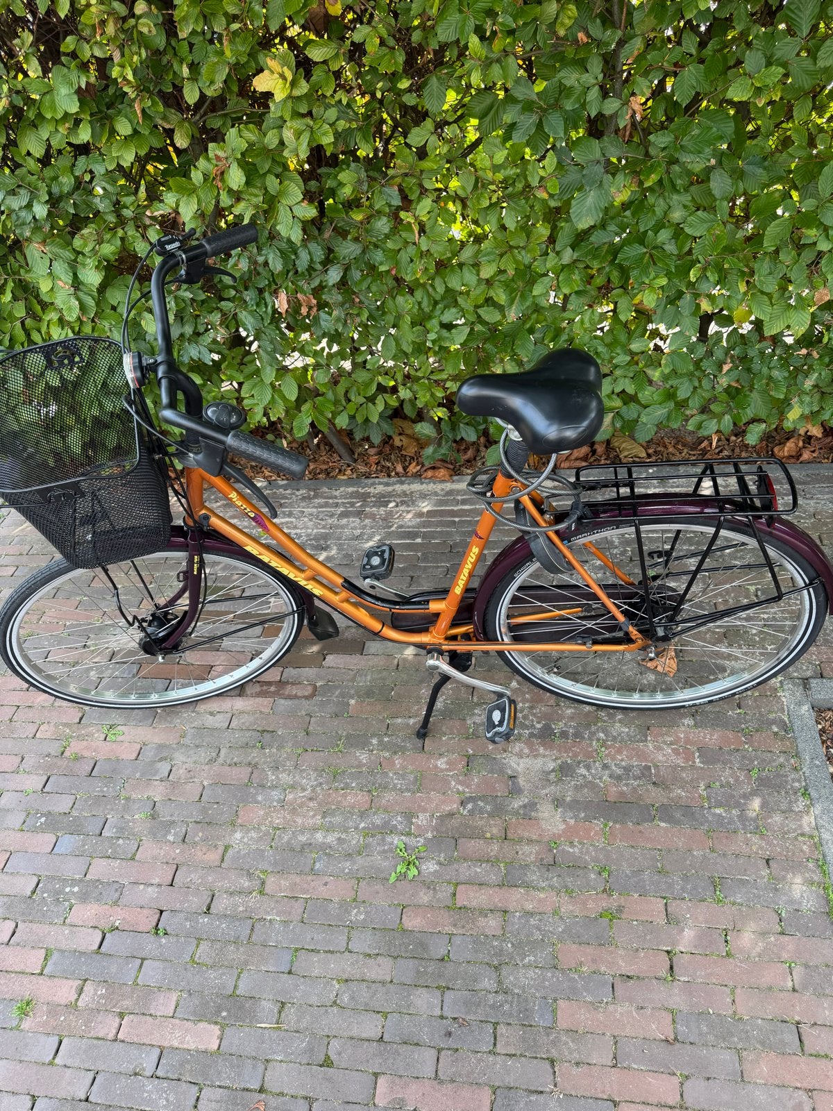 Batavus Piazza damesfiets met mand en bagagedrager