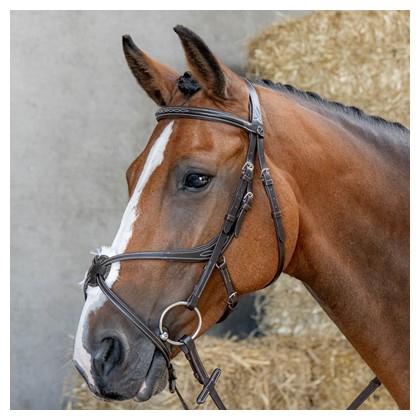 Harry’s horse hoofdstel Anatomic Mexicaan nieuw, Ophalen of Verzenden, Nieuw