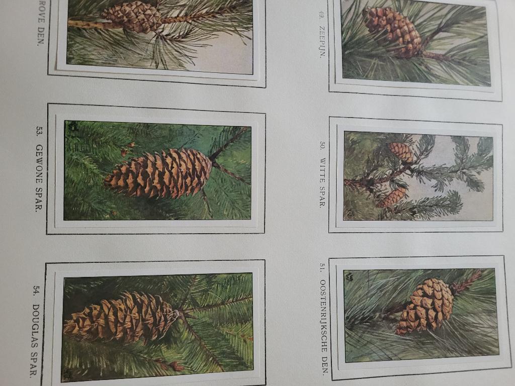 Boek winter Jack P. Thijsse, Boeken, Prentenboeken en Plaatjesalbums, Ophalen of Verzenden, Zo goed als nieuw, Prentenboek
