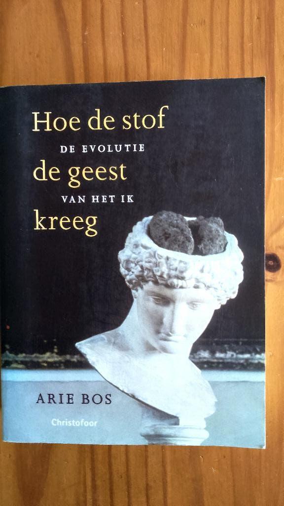 Arie Bos, Hoe de stof de geest kreeg., Ophalen of Verzenden, Zo goed als nieuw, Arie Bos