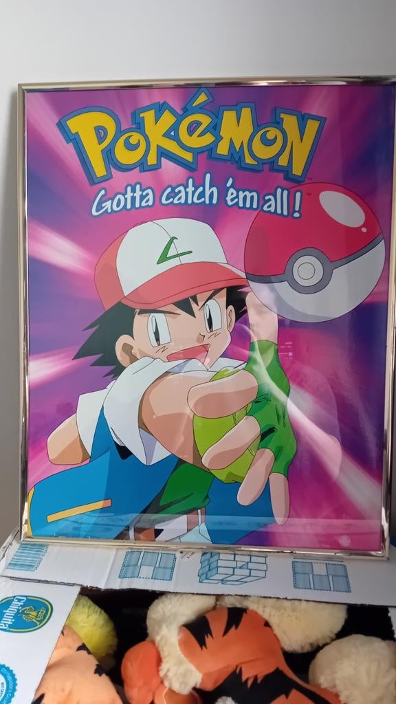 Pokémon Verzameling, Ophalen