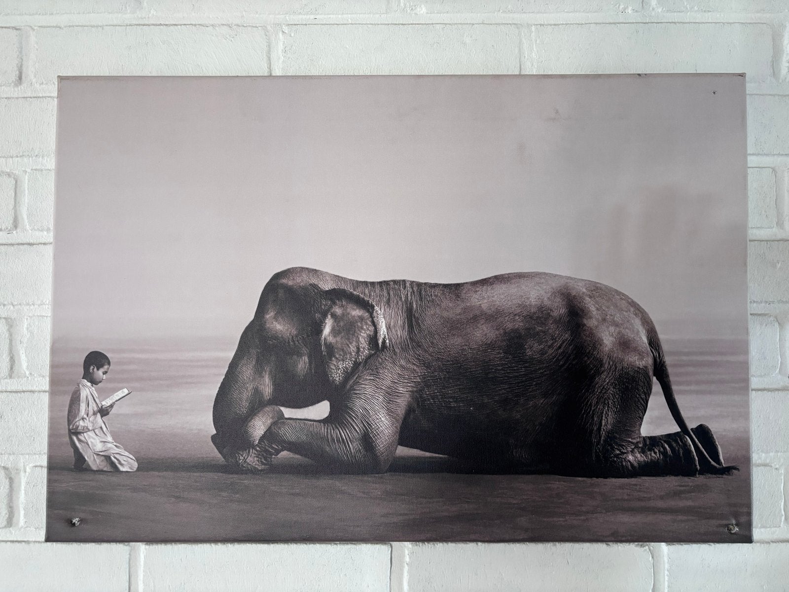 Jongen leest olifant voor - Unieke foto/poster WALLFIELD, Huis en Inrichting, 50 – 75, Gebruikt, Ophalen of Verzenden, 75 tot 100 cm
