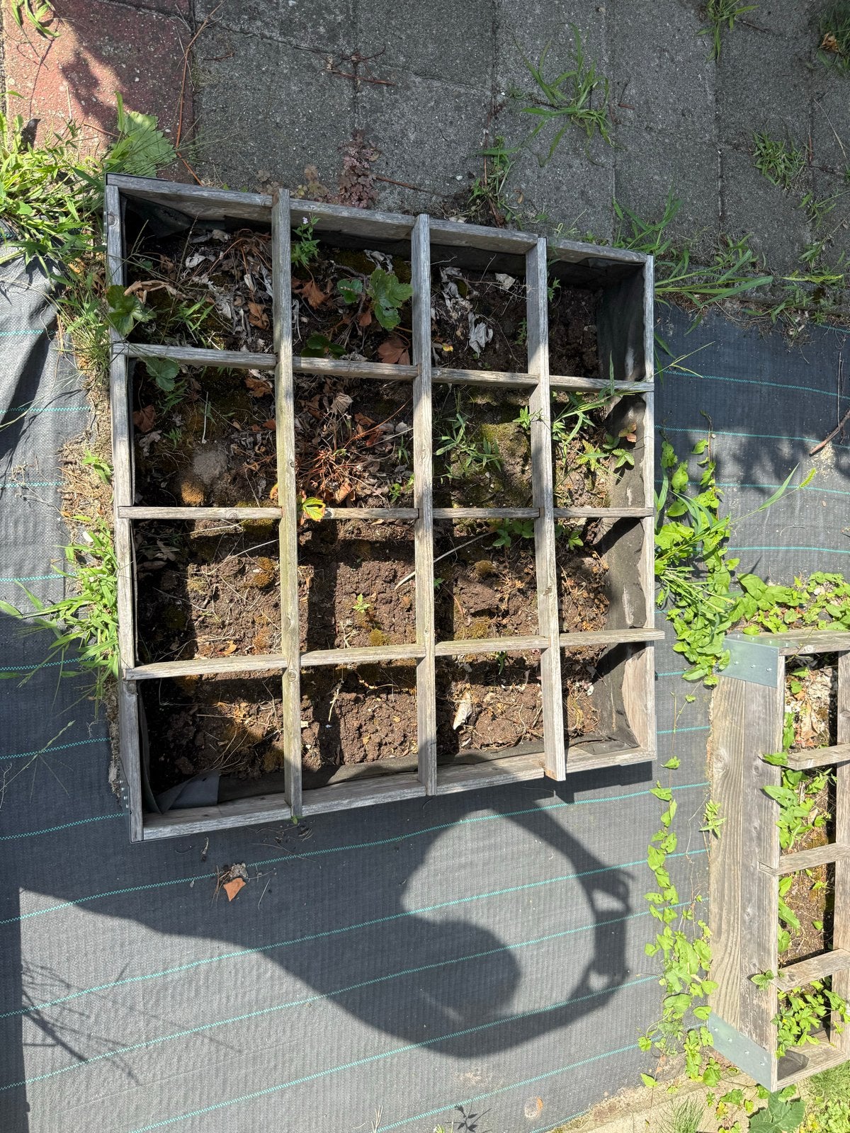 Houten moestuinbakken voor de tuin, Ophalen, Gebruikt, Minder dan 30 cm, Vierkant