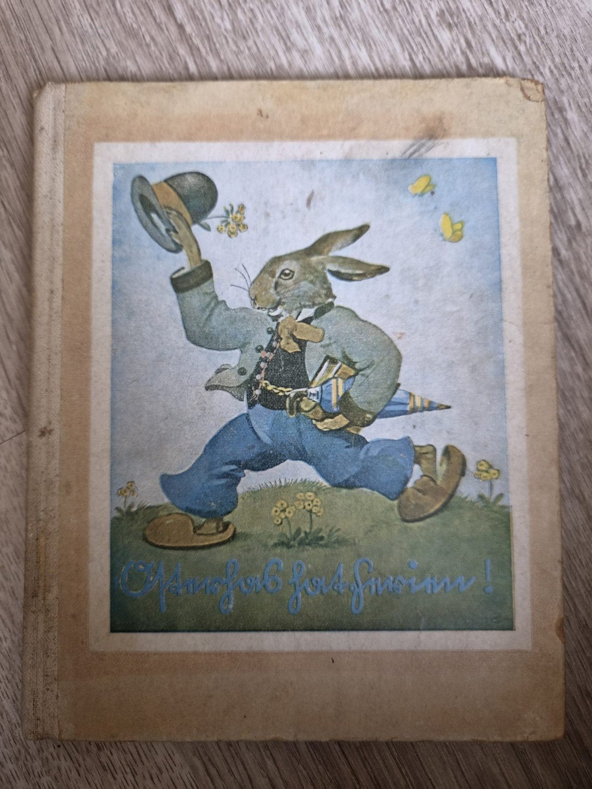 Zeldzaam antiek Duits prentenboek: Osterhas hat Ferien! (193, Boeken, Ophalen of Verzenden, Gelezen