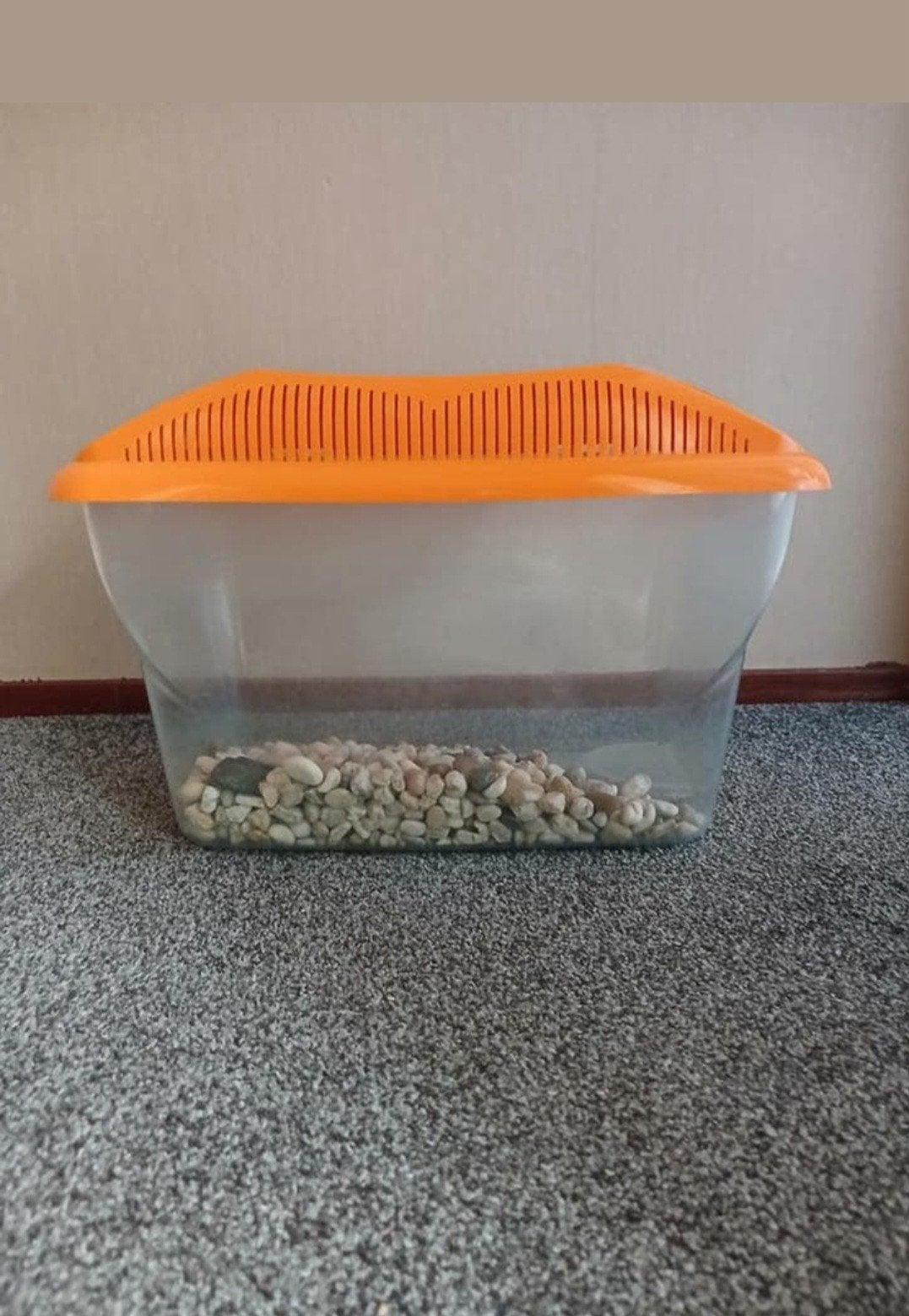 Klein aquarium met deksel en grindbodem, Ophalen, Inclusief deksel, Zo goed als nieuw, Leeg aquarium