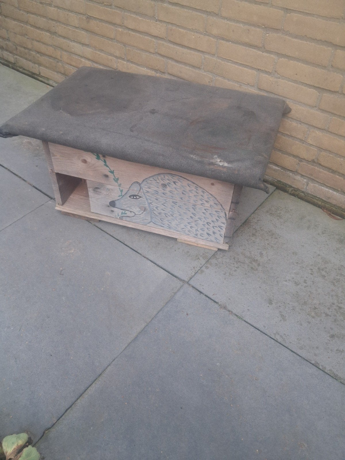 egelhuis, Dieren en Toebehoren, Ophalen, Minder dan 60 cm