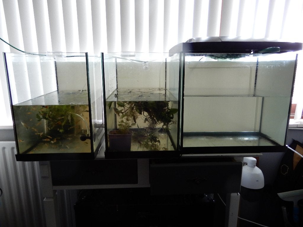 3 stuks Superfish  start 50 aquariums, Dieren en Toebehoren, Vissen | Aquaria en Toebehoren, Ophalen, Zo goed als nieuw, Leeg aquarium