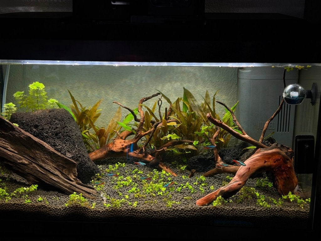 Juwel Aquarium 60L sell/exchange, Ophalen, Verwarming, Zo goed als nieuw, Leeg aquarium