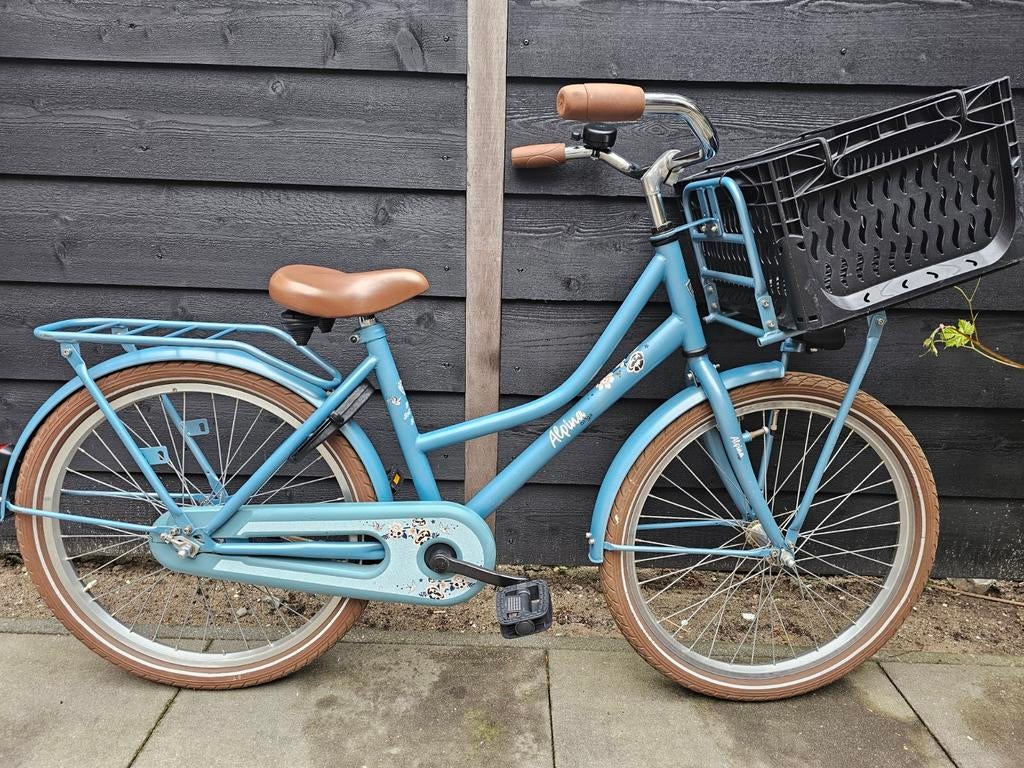 Meisjesfiets Alpina cargo fiets 22 inch, Fietsen en Brommers, Fietsen | Dames | Damesfietsen, Zo goed als nieuw, Overige merken