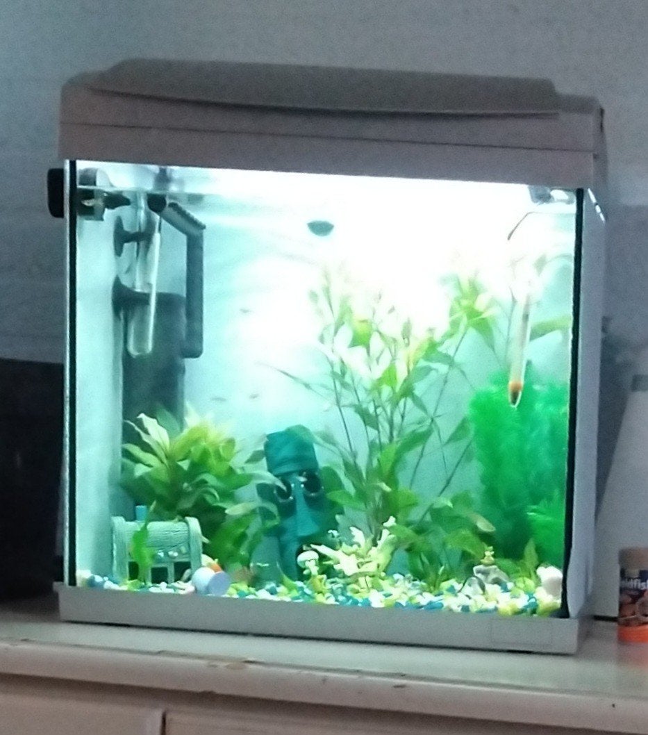Superfish 60 l, Ophalen of Verzenden, Leeg aquarium